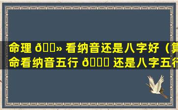 命理 🌻 看纳音还是八字好（算命看纳音五行 🐘 还是八字五行）